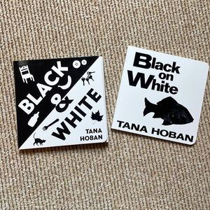 Black & White Learning Toy